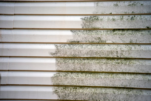 Best Weatherproofing and Sealing  in Temple Hills, MD
